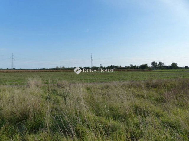 Eladó telek, Délegyházán 42 M Ft / költözzbe.hu