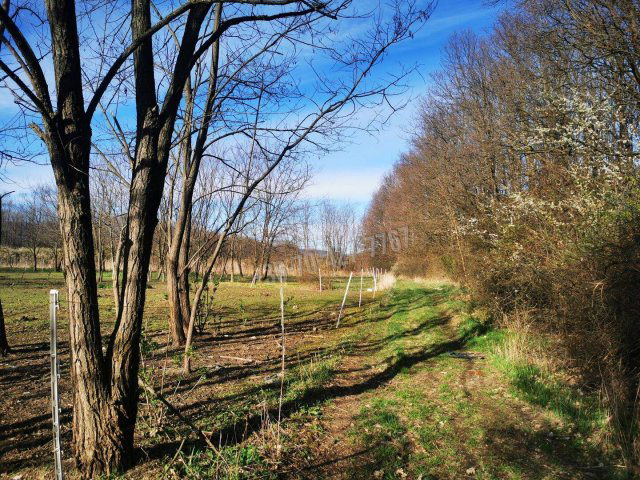 Eladó telek, Egerben 4.4 M Ft / költözzbe.hu