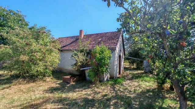 Eladó családi ház, Szigetváron 4.5 M Ft, 2 szobás