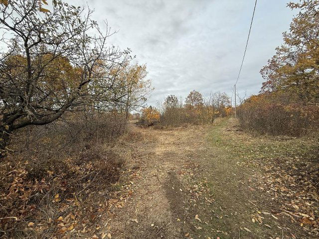 Eladó telek, Pomázon 7.524 M Ft / költözzbe.hu