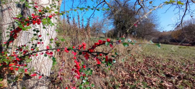 Eladó telek, Zalaegerszegen 0.85 M Ft / költözzbe.hu