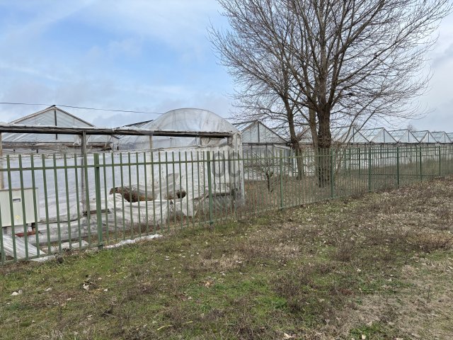 Eladó telek, Debrecenben 400 M Ft / költözzbe.hu