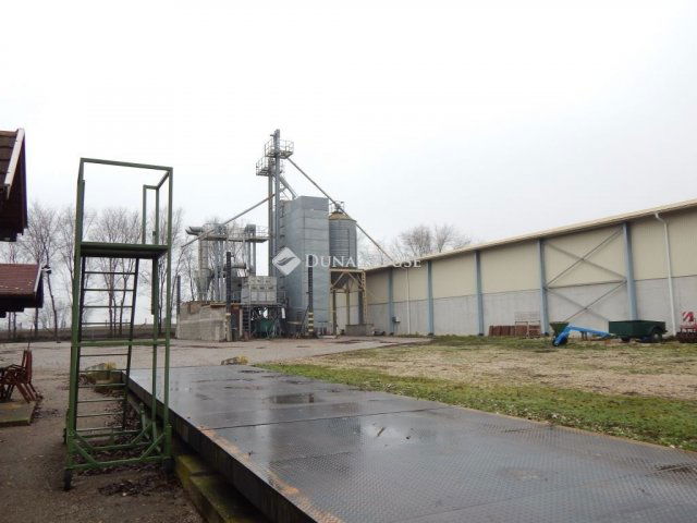 Eladó mezogazdasagi ingatlan, Kálozon 400 M Ft