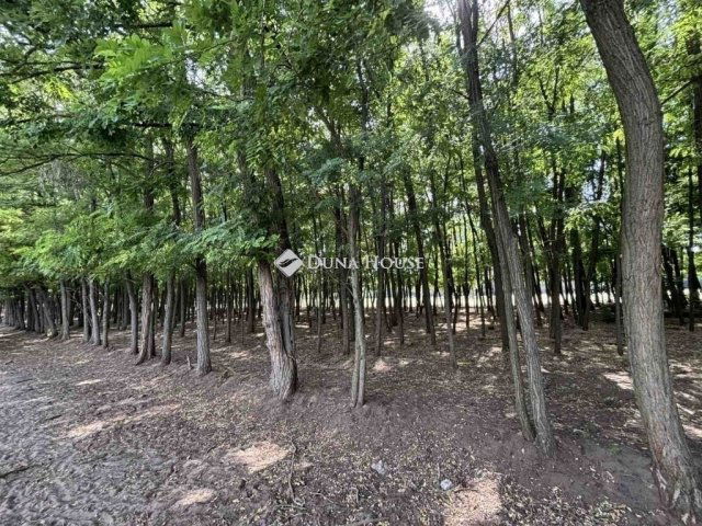 Eladó családi ház, Kecskeméten 124.99 M Ft, 4 szobás