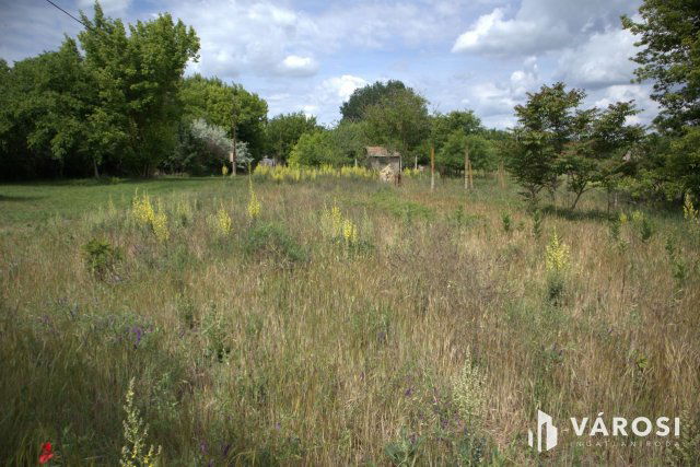 Eladó mezogazdasagi ingatlan, Sándorfalván 3.9 M Ft