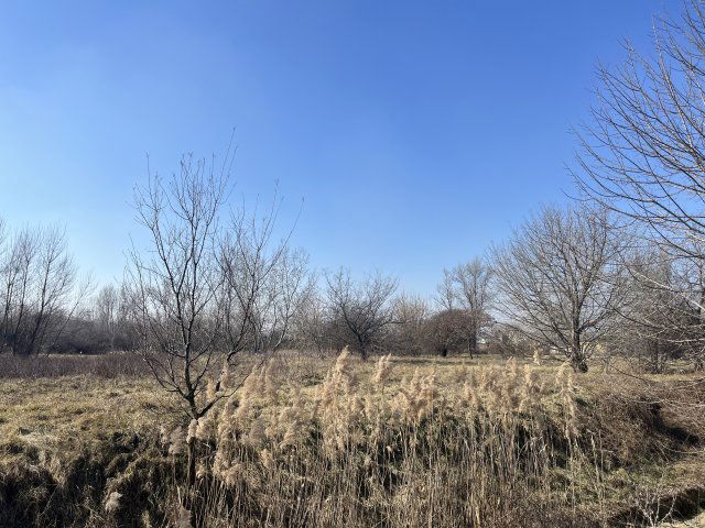 Eladó telek, Budapesten, XX. kerületben 1365 M Ft