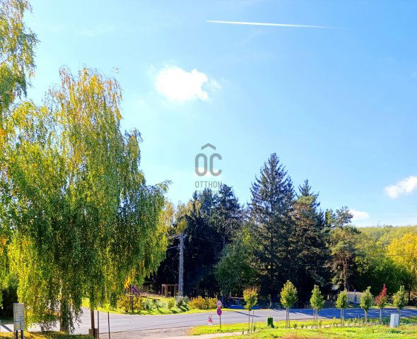 Eladó családi ház, Nagypálin 110 M Ft, 4 szobás