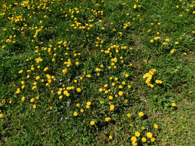 Eladó telek, Gyenesdiáson 37.9 M Ft / költözzbe.hu