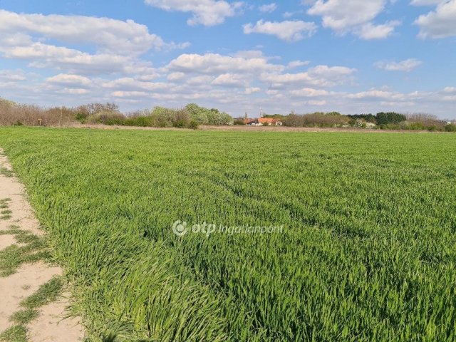 Eladó telek, Szigetszentmiklóson 16.9 M Ft / költözzbe.hu