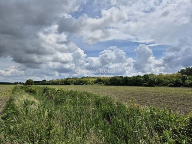 Eladó telek, Ászáron 51.1 M Ft / költözzbe.hu