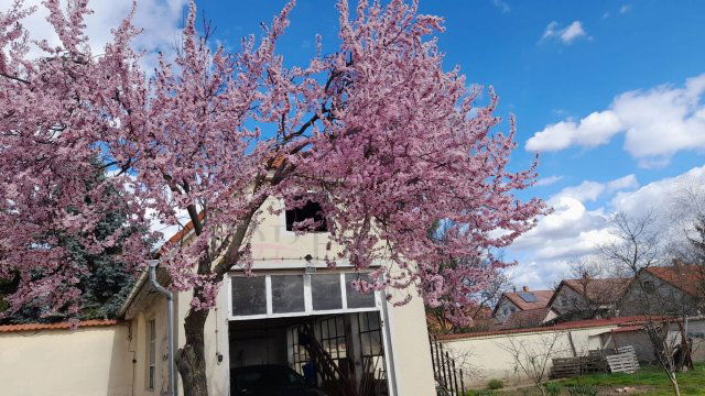 Eladó családi ház, Debrecenben 120 M Ft, 5 szobás