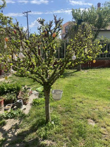 Eladó családi ház, Kecskeméten 149 M Ft, 7 szobás