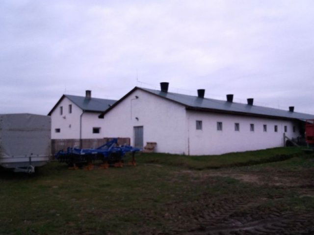 Eladó mezogazdasagi ingatlan, Újlengyelen 200 M Ft