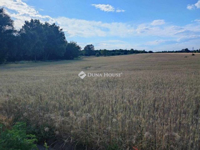 Eladó telek, Budapesten, XVI. kerületben 67.5 M Ft