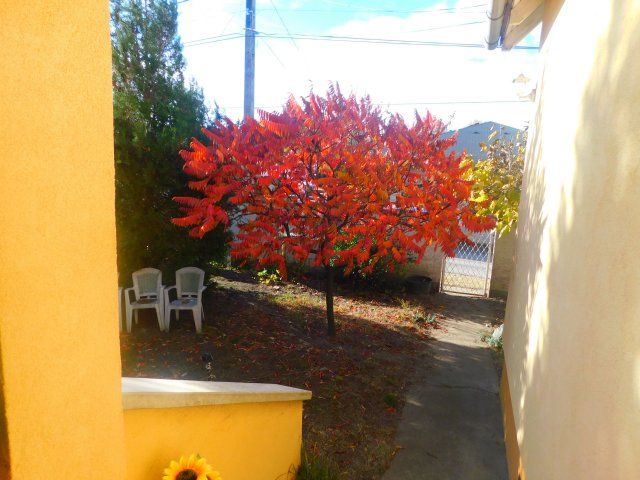 Eladó családi ház, Váchartyánon 174.9 M Ft, 6 szobás