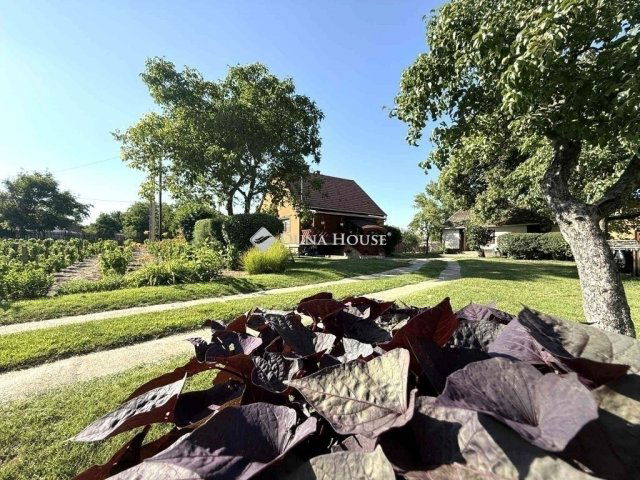 Eladó családi ház, Kecskeméten 54.9 M Ft, 2 szobás