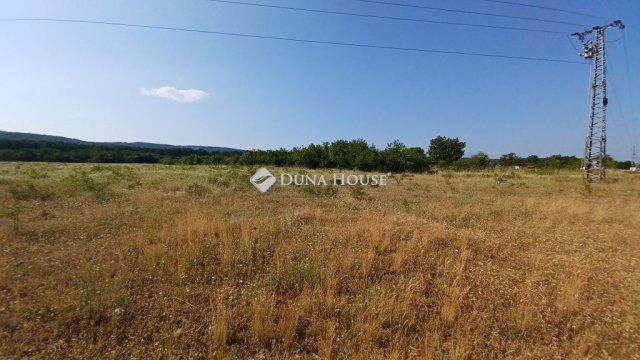 Eladó mezogazdasagi ingatlan, Balatonudvariban 39.9 M Ft