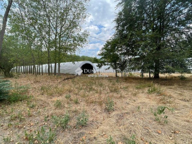 Eladó mezogazdasagi ingatlan, Jászszentlászlón 42 M Ft, 5 szobás