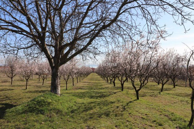Eladó telek, Balatonakaliban 39.9 M Ft / költözzbe.hu