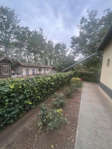 Eladó családi ház, Biharnagybajomban 8.5 M Ft, 2 szobás