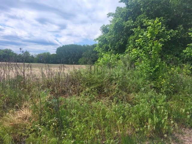 Eladó mezogazdasagi ingatlan, Pilisen 7.5 M Ft