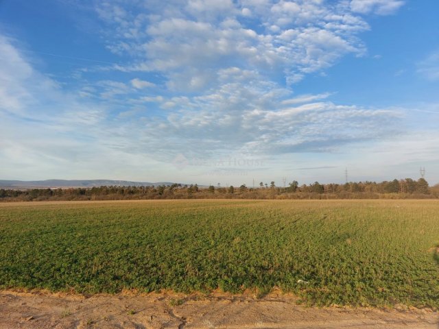 Eladó ipari ingatlan, Veszprémben 611.78 M Ft