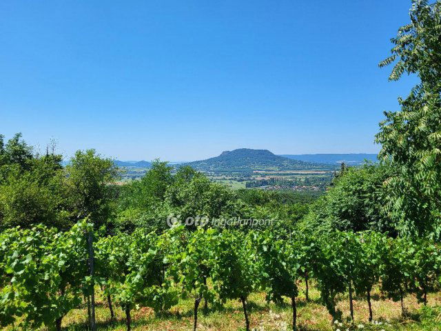 Eladó mezogazdasagi ingatlan, Gyulakeszin 19 M Ft