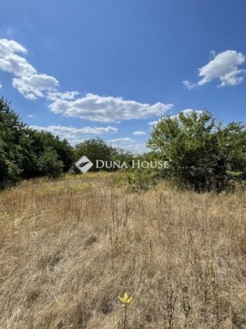 Eladó telek, Szadán 42 M Ft / költözzbe.hu