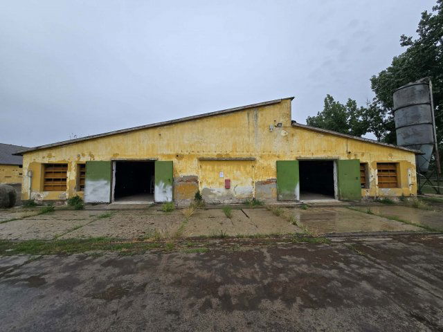 Eladó mezogazdasagi ingatlan, Békésen 195 M Ft