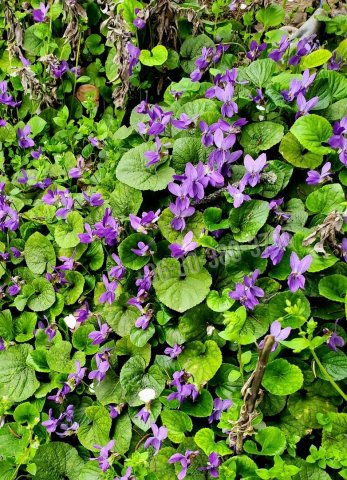 Eladó nyaraló, Dunaújvárosban 5.9 M Ft, 1 szobás