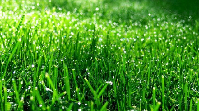 Eladó mezogazdasagi ingatlan, Zalacsányon 3 M Ft