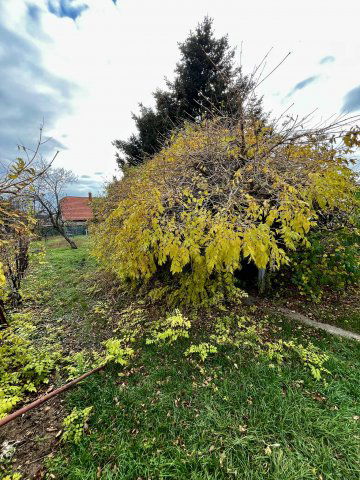 Eladó családi ház, Pécsett, Kodó dűlőn 14.9 M Ft, 2 szobás