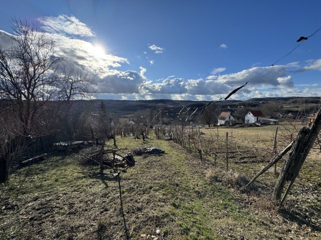 Eladó mezogazdasagi ingatlan, Szekszárdon 4.9 M Ft