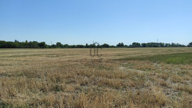 Eladó telek, Gyöngyösön 29 M Ft / költözzbe.hu