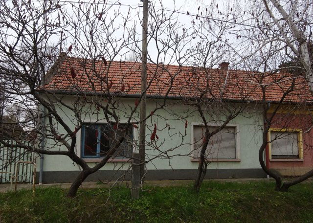 Eladó téglalakás, Orosházán, Dózsa György utcában 19.182 M Ft