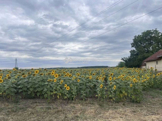 Eladó telek, Tápiógyörgyén 5.9 M Ft / költözzbe.hu