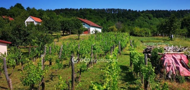 Eladó mezogazdasagi ingatlan, Magyarpolányban 15.5 M Ft