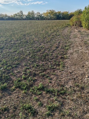 Eladó telek, Kengyelen 2.4 M Ft / költözzbe.hu