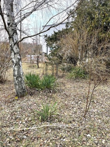 Eladó telek, Budajenőn 65 M Ft / költözzbe.hu