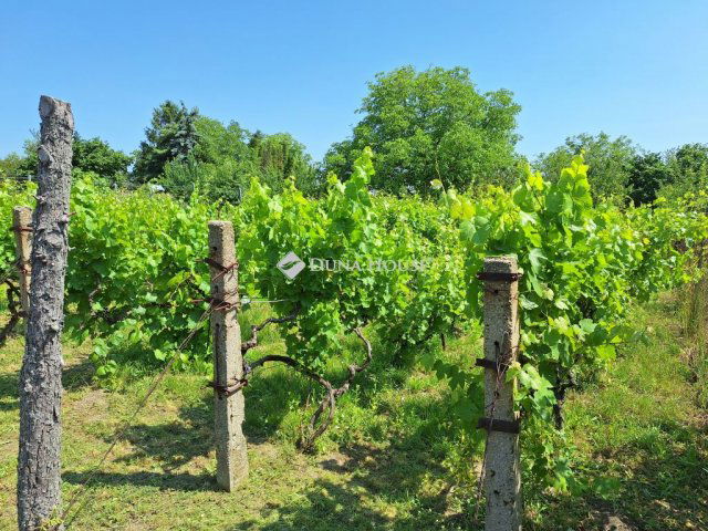 Eladó családi ház, Bicskén 19.5 M Ft, 3 szobás