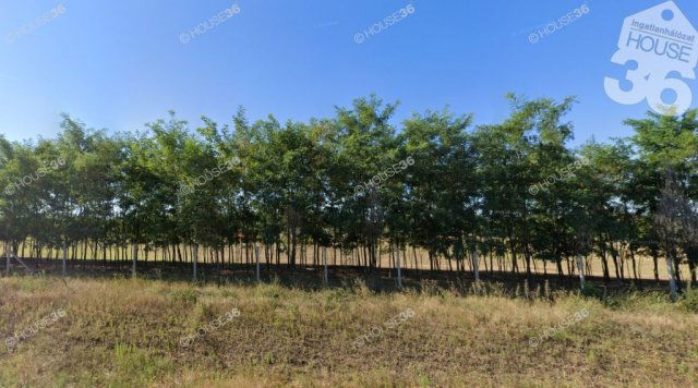 Eladó telek, Kecskeméten 28.5 M Ft / költözzbe.hu