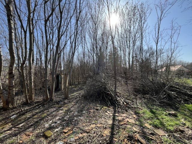 Eladó telek, Vaszaron 3 M Ft / költözzbe.hu