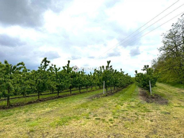 Eladó mezogazdasagi ingatlan, Csányon 105 M Ft, 1 szobás