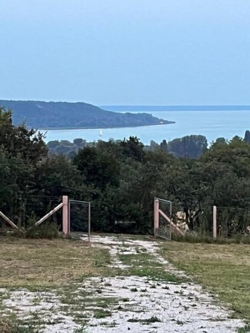 Eladó telek, Balatonalmádiban 79.9 M Ft / költözzbe.hu