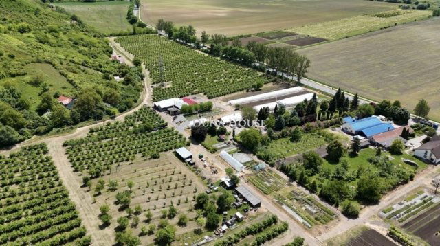 Eladó mezogazdasagi ingatlan, Putnokon 390 M Ft