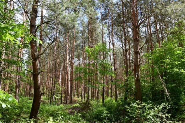 Eladó mezogazdasagi ingatlan, Sárbogárdon 5.8 M Ft