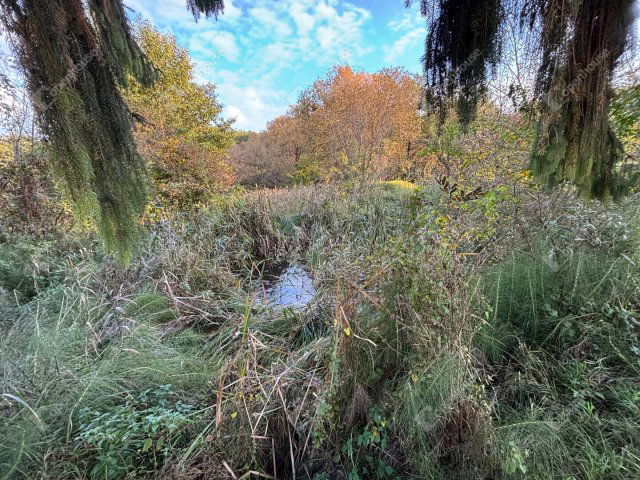 Eladó telek, Babosdöbrétén 4.4 M Ft / költözzbe.hu