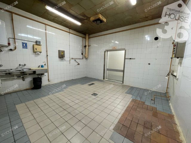 Eladó ipari ingatlan, Nagykőrösön 165 M Ft