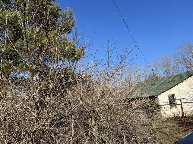 Eladó családi ház, Tápiószőlősön, Tulipán úton 6.99 M Ft