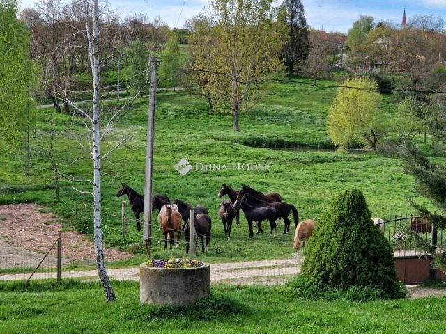 Eladó mezogazdasagi ingatlan, Egerágon 159 M Ft, 5 szobás
